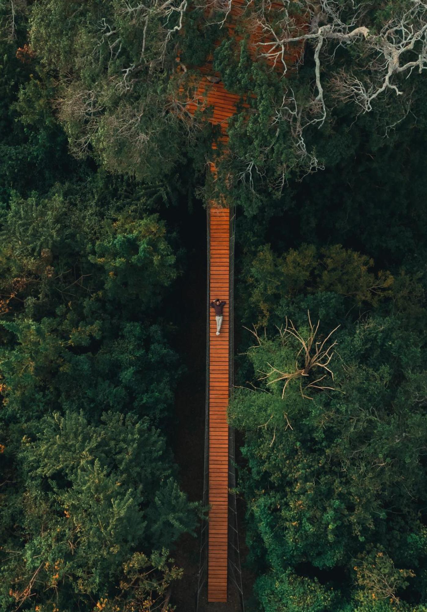 Treecasa Hotel & Resort Nicaragua San Juan del Sur Εξωτερικό φωτογραφία